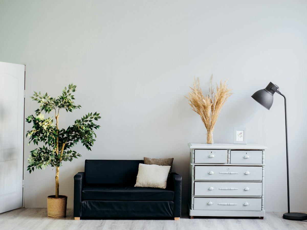 Modern living room with black sofa, white dresser, potted plant, dried pampas grass, and floor lamp